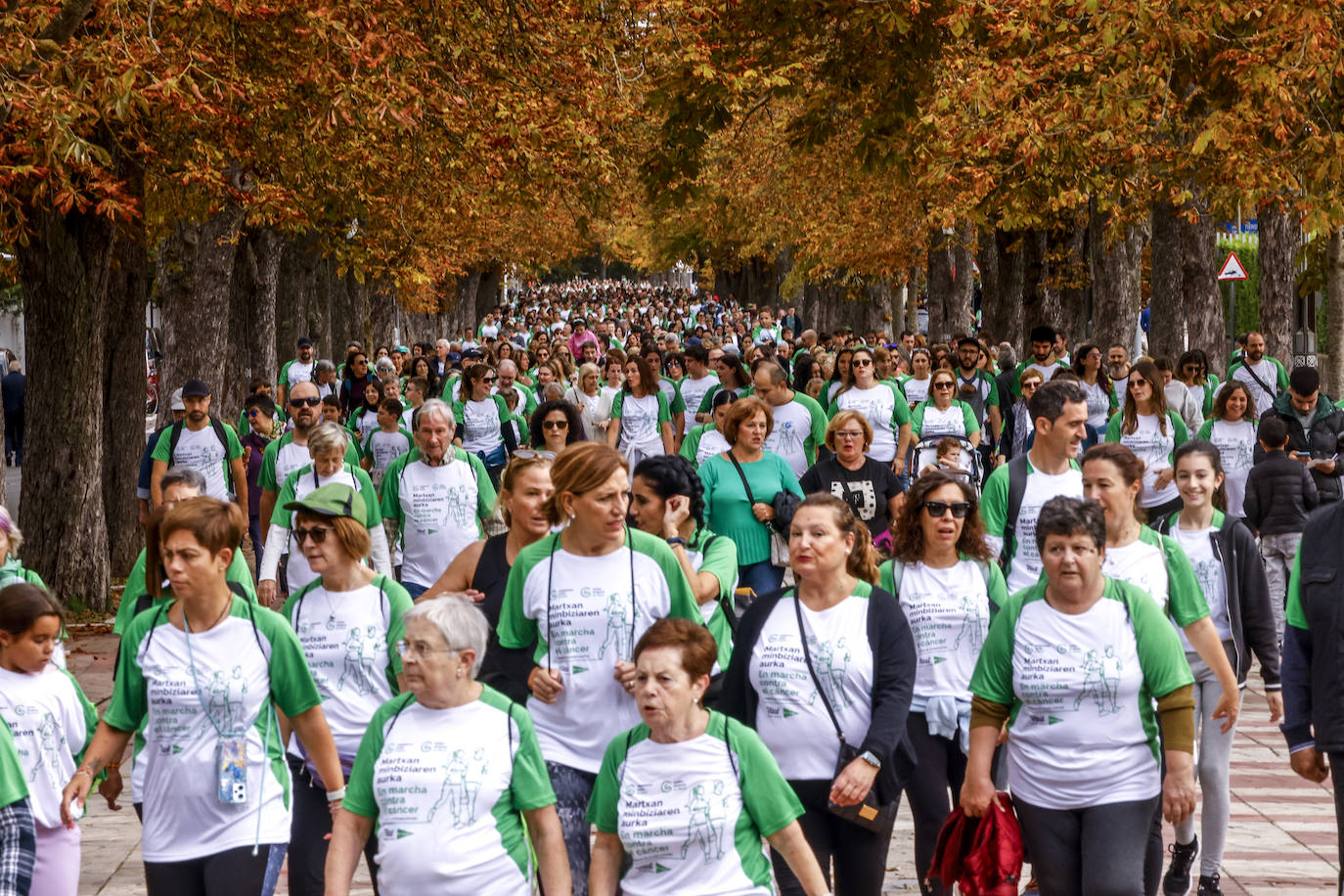 La marcha contra el cáncer, en imágenes