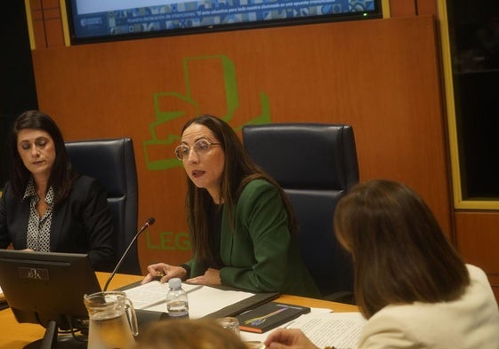 La consejera de Educación, Begoña Pedrosa, en una reciente comparecencia en el Parlamento vasco.