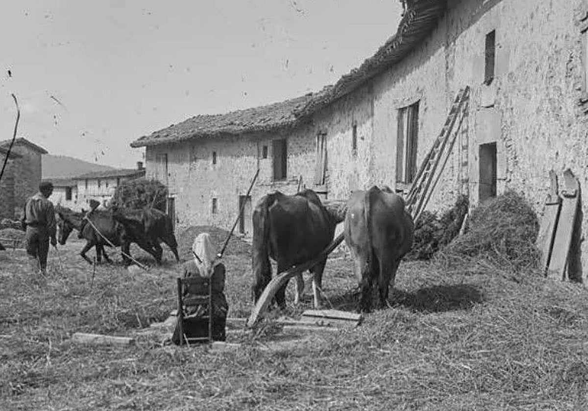 Las tareas del caserío de las abuelas se acercan a los más jóvenes.