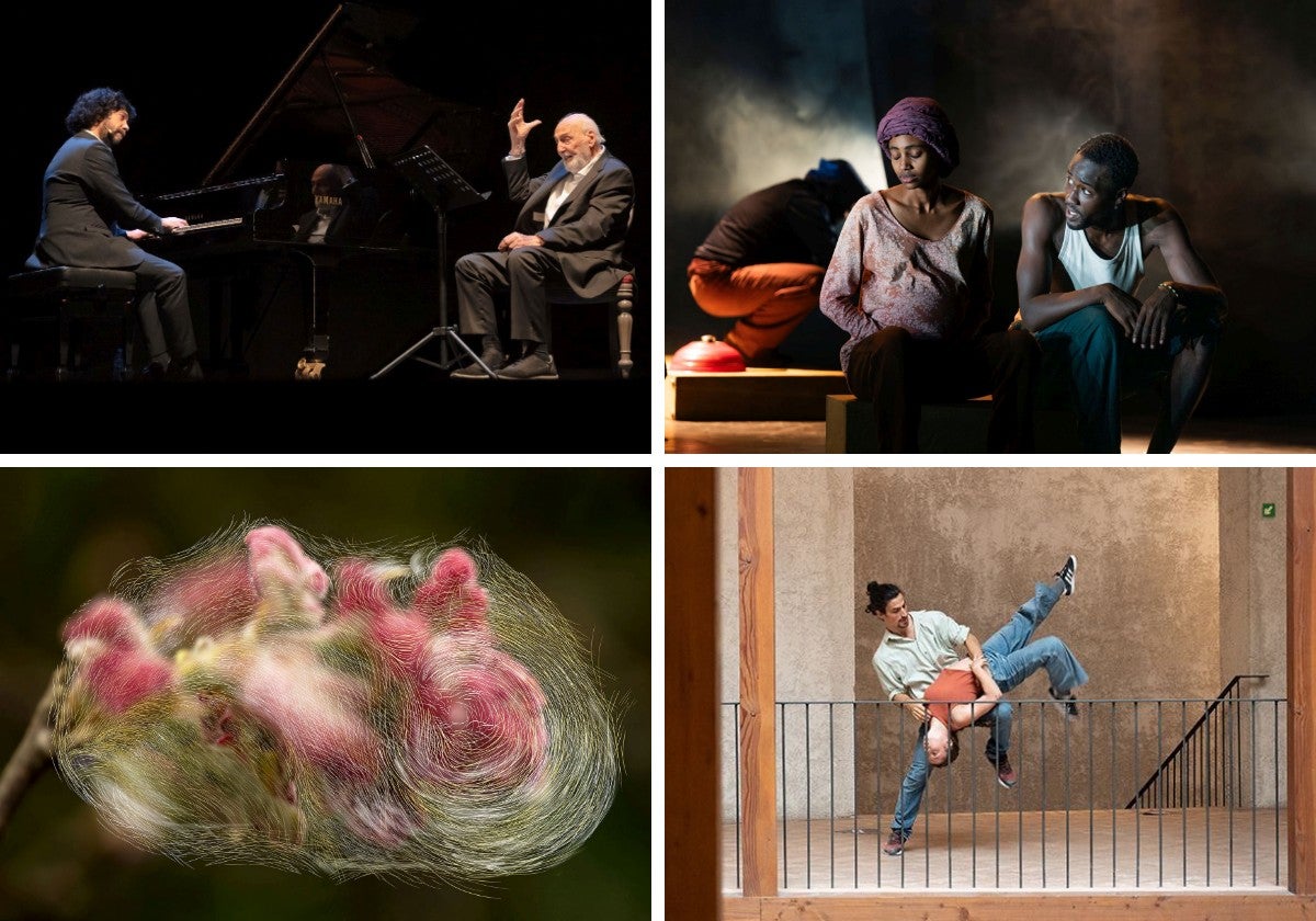 Los mejores planes culturales para este fin de semana en Bizkaia