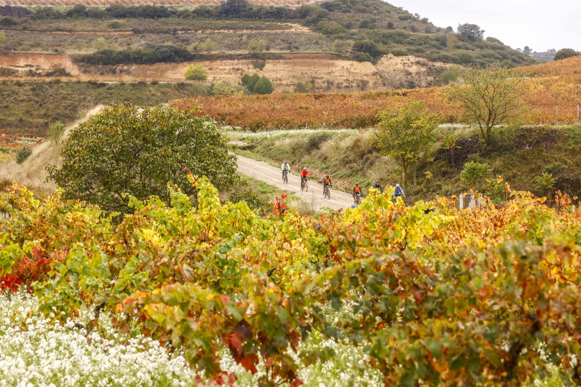 La Orbea Gravel toma Rioja Alavesa