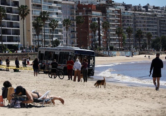 Un autobus pierde el control y llega hasta la orilla del mar en una playa de Montevideo.