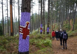 Una imagen tomada en el nuevo bosque de Oma tras la reinauguración.