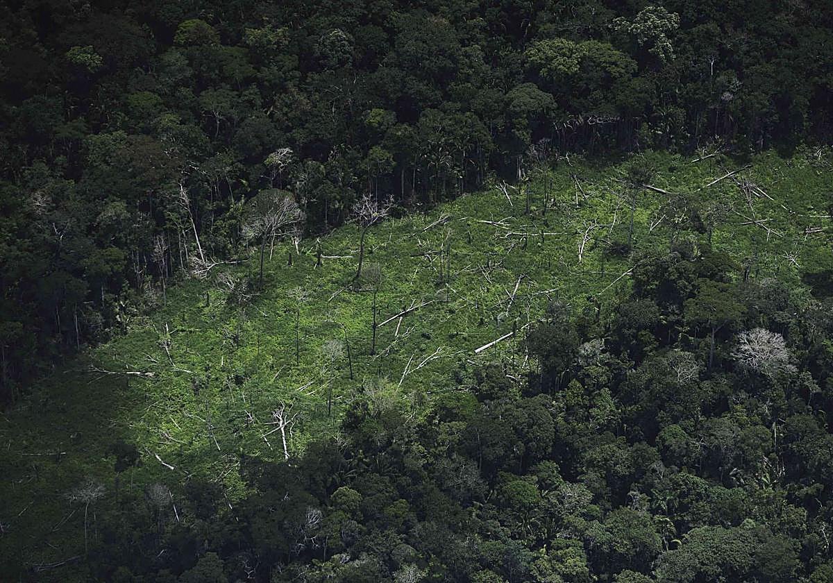 Vista aérea de una zona deforestada en Brasil.
