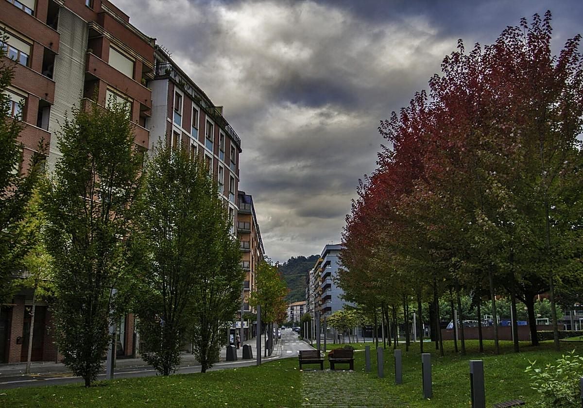 El Consistorio quiere contribuir «al mantenimiento del entorno urbano y natural»