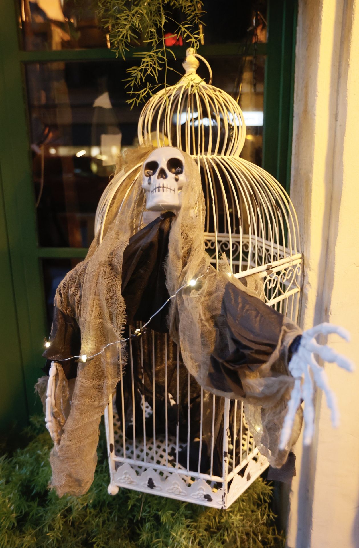 Concierto, malabarista en bicicleta, picoteo de muerte, disfraces... la sorprendente fiesta de Halloween de una tienda de Bilbao