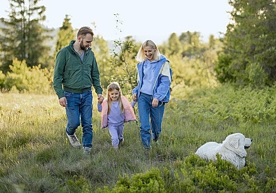 El seguro que nadie quiere, pero todos necesitamos