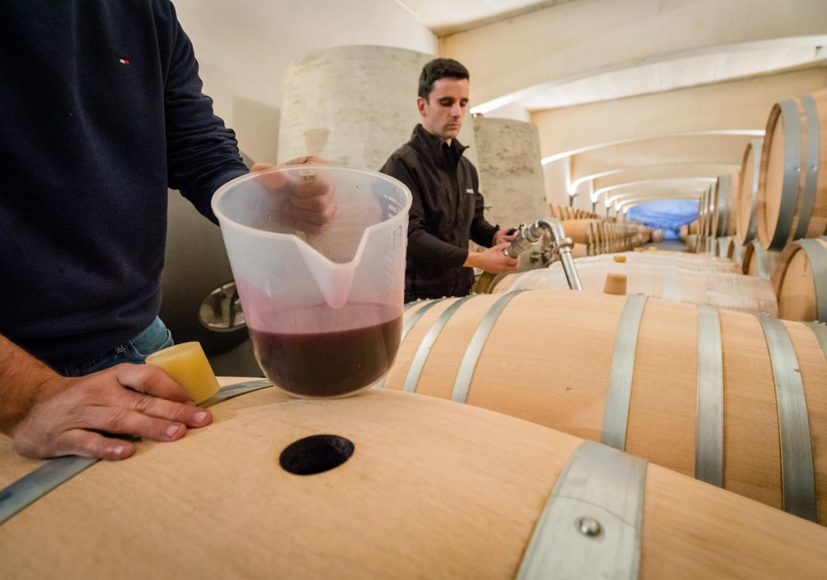 Imagen principal - Iker y Alberto Martínez Pangua rellenan nuevas barricas para la fase de fermentación maloláctica y vigilan la acidez del vino.