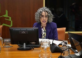 Ibone Bengoetxea, durante su comparececia.