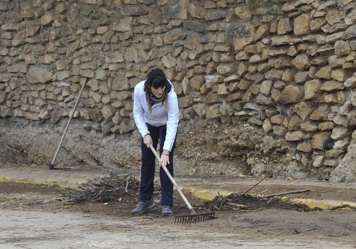 Rozalen abeslaria, Letur herrian DANAk suntsitutakoa garbitzen.