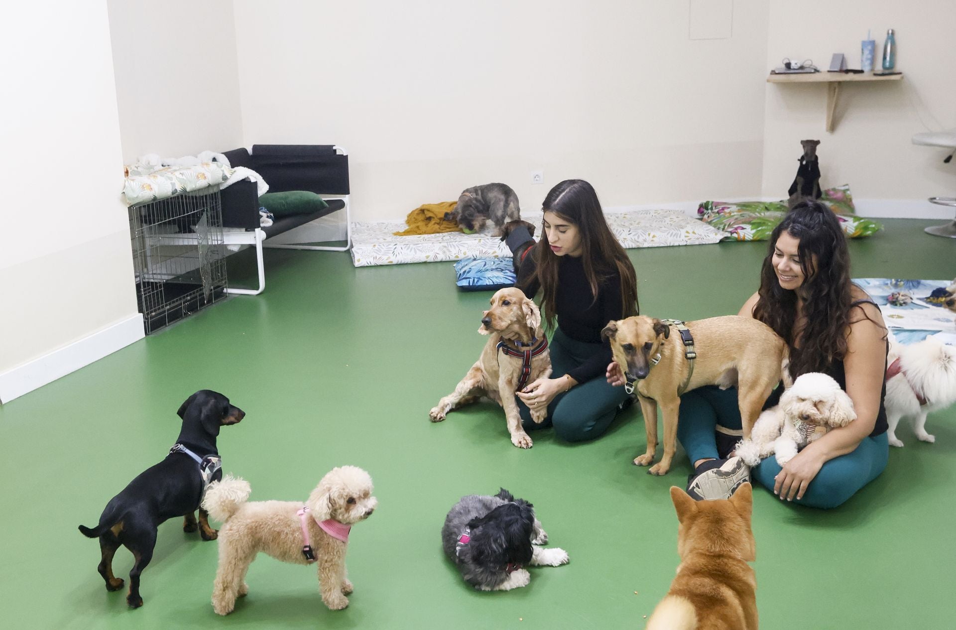 Una inglesa y una hawaiana abren la única guardería canina del centro de Bilbao: «Se lo pasan bomba»