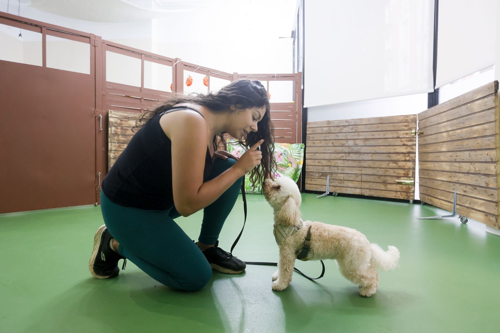 Una inglesa y una hawaiana abren la única guardería canina del centro de Bilbao: «Se lo pasan bomba»