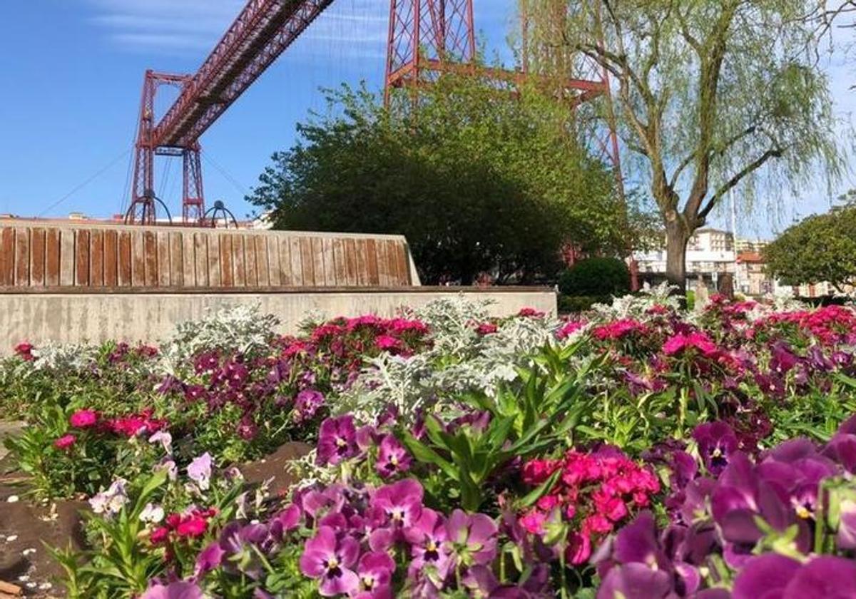 Detalle del jardín situado en Las Arenas junto al Puente Colgante y donde se han registrado robos.