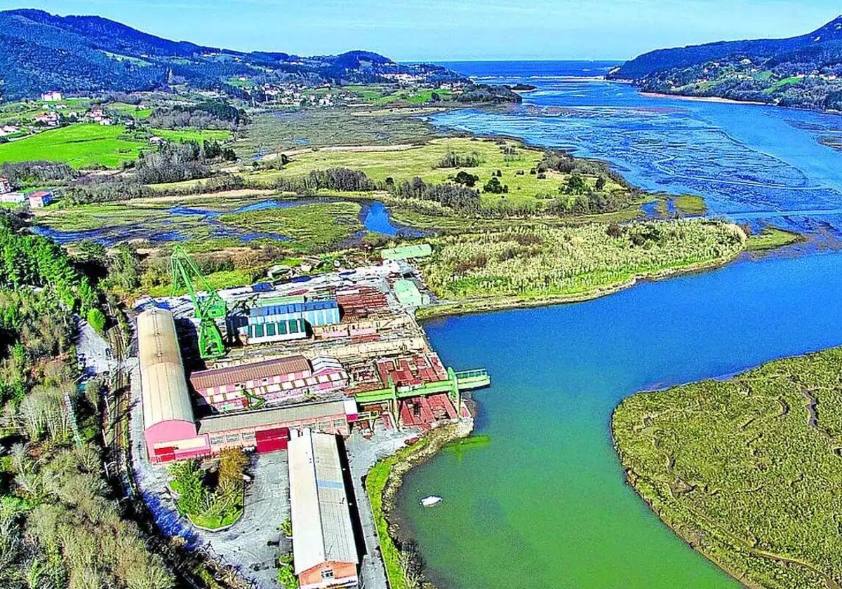 Los retos de la nueva directora del Guggenheim a la sombra de Vidarte