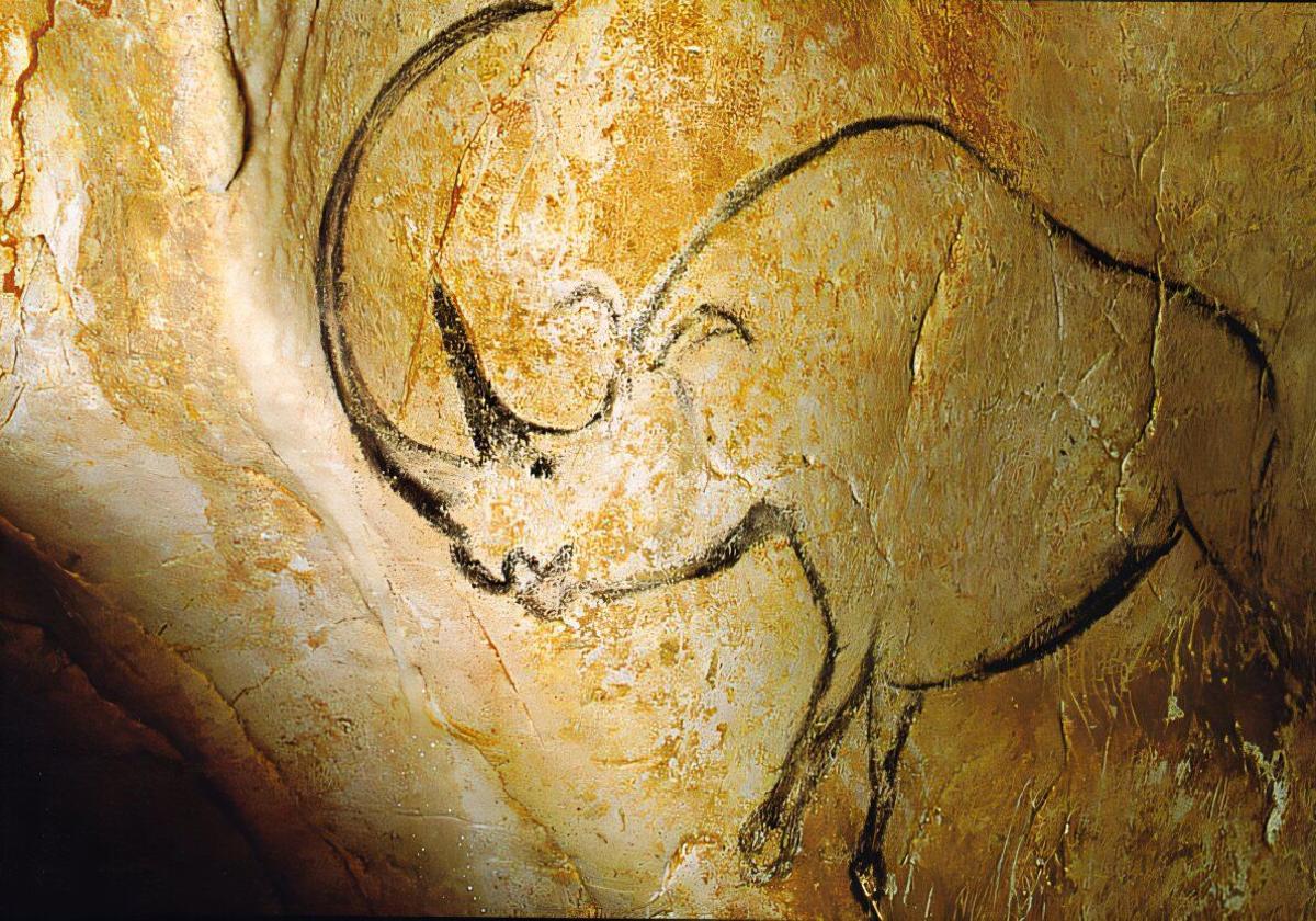 Rinoceronte lanudo representado en la cueva francesa de Chauvet.