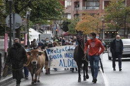 Manifestación de ganaderos durante la pandemia por la situación de Triano.