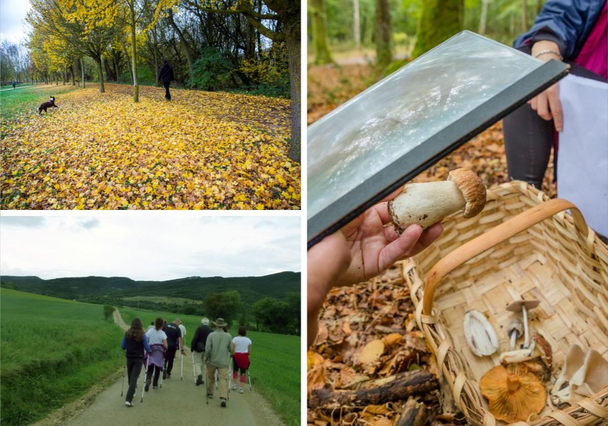 Planes de fin de semana para disfrutar del otoño en Álava