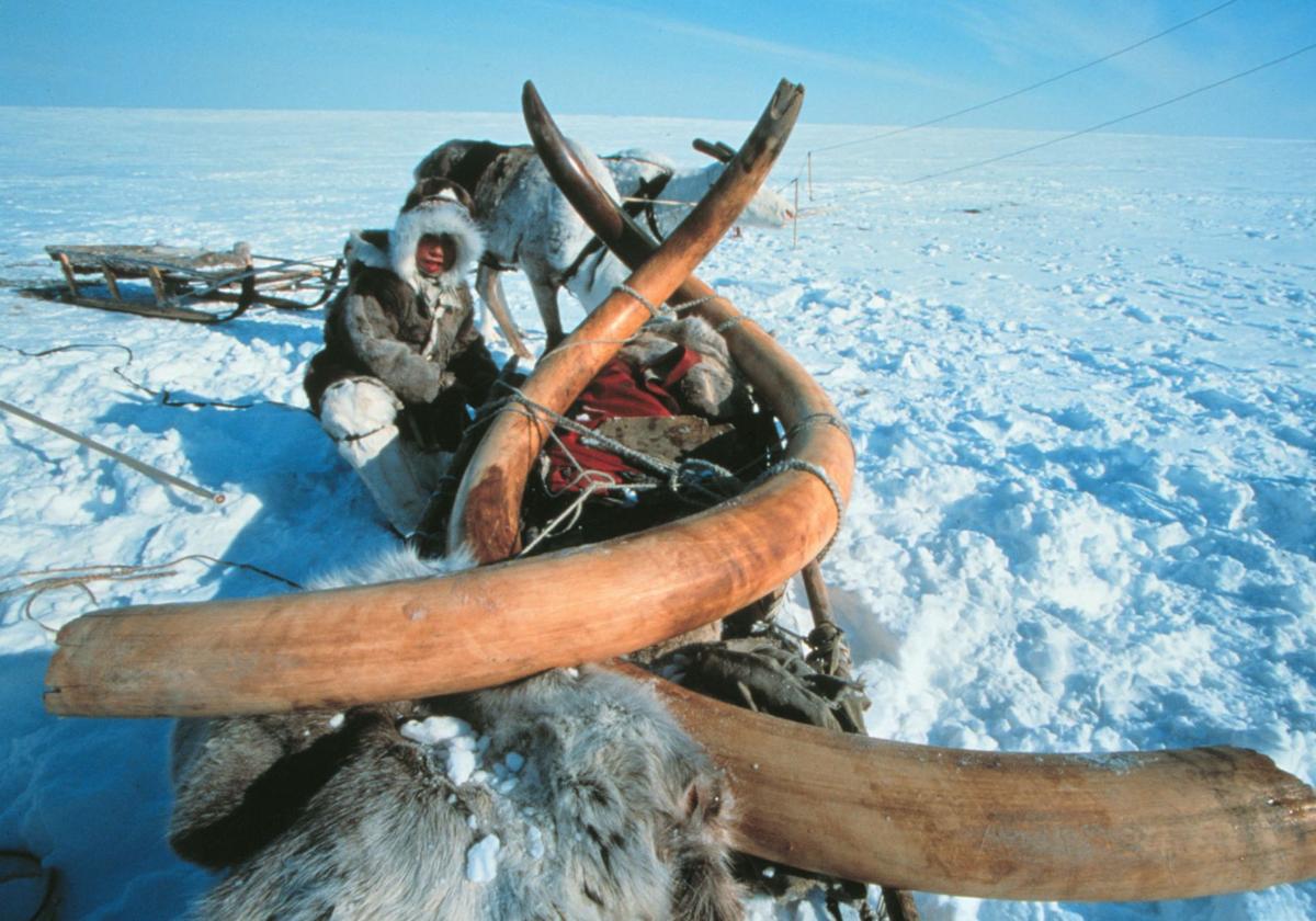 Descifrando los cambios climáticos del pasado