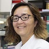 Imagen - «Hay más de 200 cánceres porque las células se relacionan entre sí de formas muy diversas»