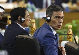 Sánchez debería fiarse del CIS y barrer en unas nuevas elecciones