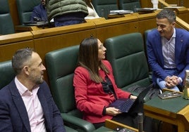 La consejera de Educación, Begoña Pedrosa, este jueves en el pleno del Parlamento vasco.