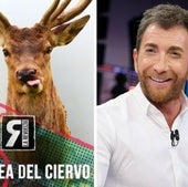 ¿Ganó la berrea del ciervo de Broncano a 'El Hormiguero'?