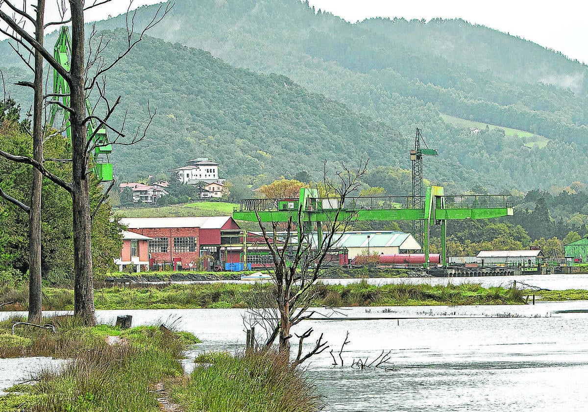 Urdaibai fue declarada Reserva de la Biosfera por la Unesco el 6 de diciembre de 1984.