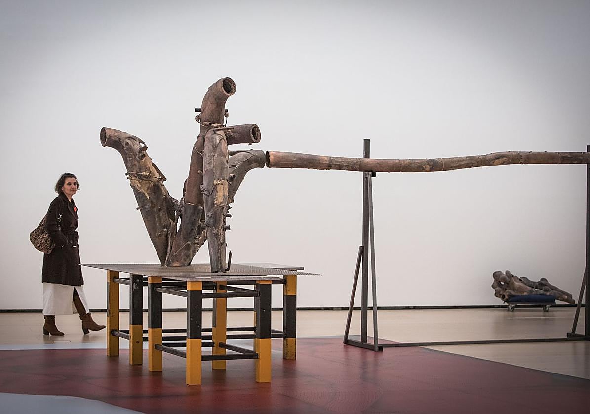 Una de las obras de la serie Vascular de June Crespo, que ha sido adquirida por el museo.