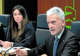 Iñaki Subijana compareció ayer en el Parlamento vasco.