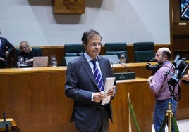 El consejero de Salud, Alberto Martínez, en el Parlamento vasco.