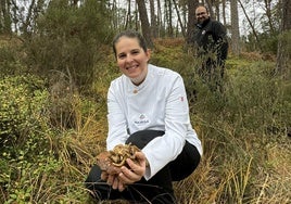 Elena Lucas y Diego Muñoz recogen setas en los montes de Soria.