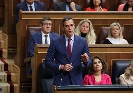 El presidente del Gobierno, Pedro Sánchez.