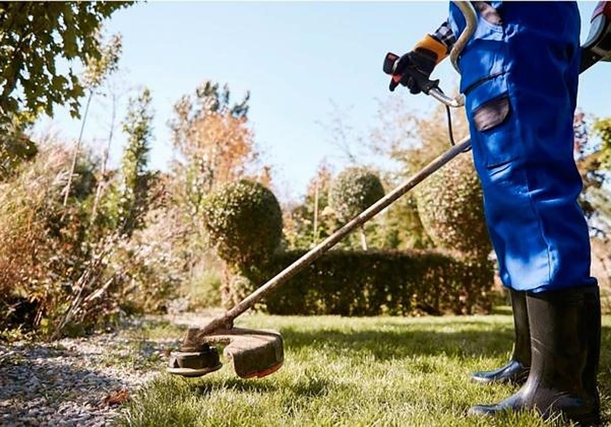 Los reyes del reflectante