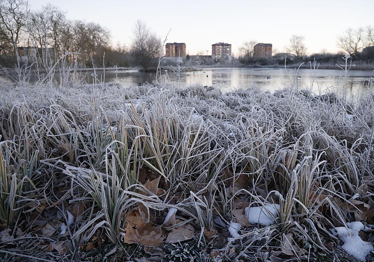 Vitoria se congela a -2 grados, pero mañana no helará
