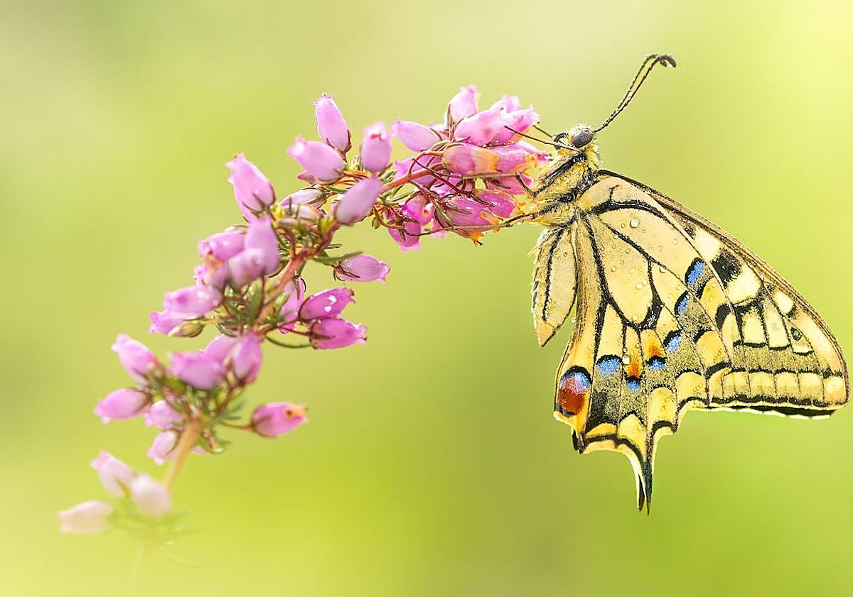 Imagen principal - Vista de dos fotografías de la exposición y del autor, Xabier Ramos. 