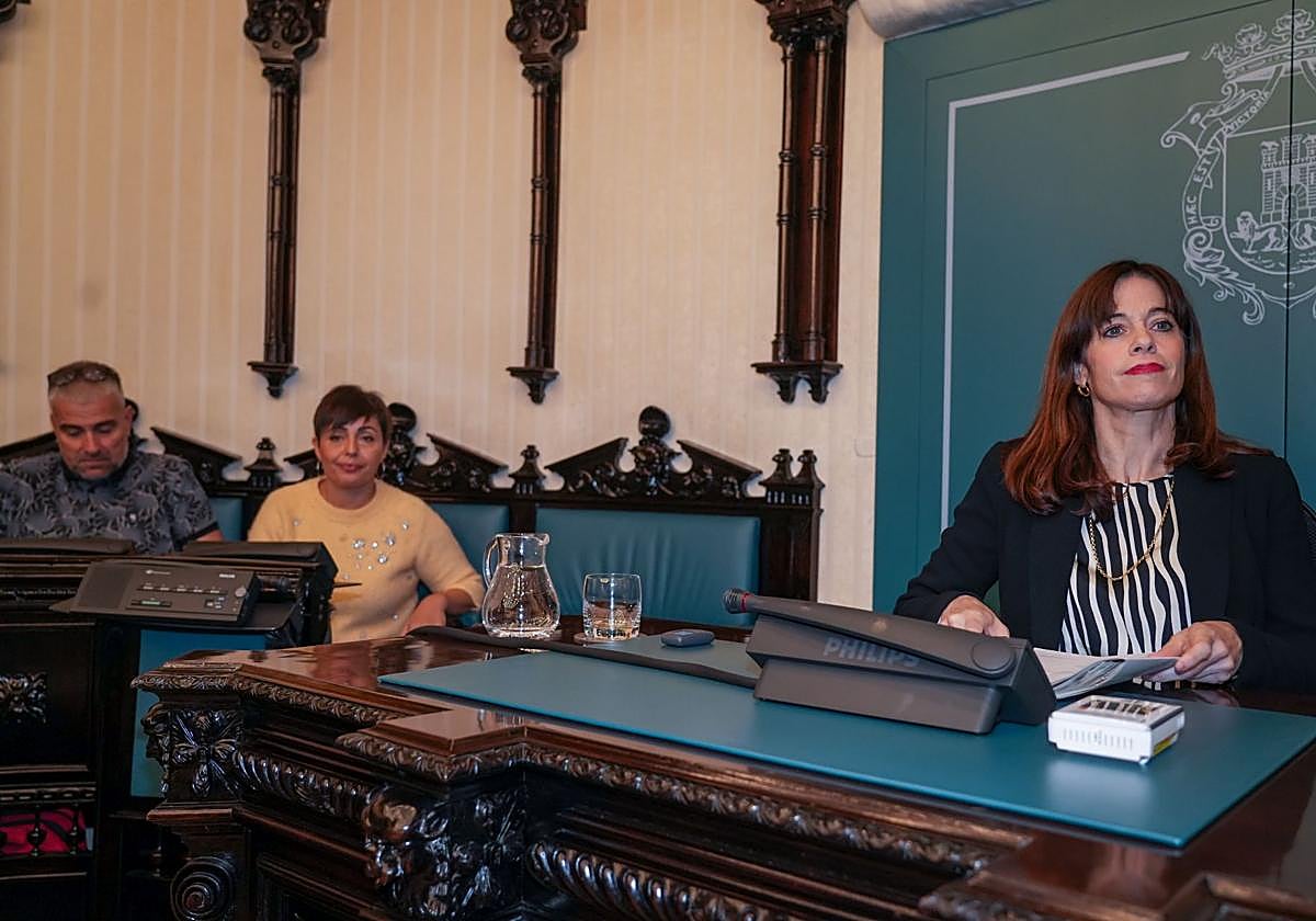 Vitero, a la izquierda, y Etxebarria en un pleno.