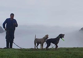 Carlos Vega, con 'Casina' (la perra de la derecha' y otro de sus perros de caza, durante una montería