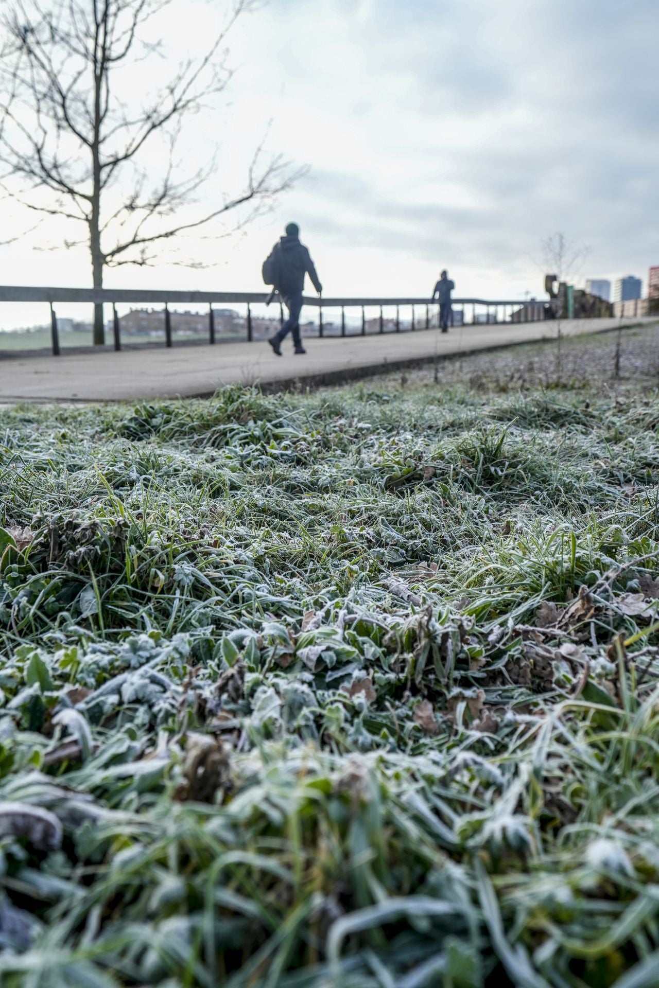 Álava tirita a -9 grados