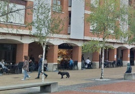 La plaza Urgitxieta en Larrabasterra alberga varios establecimientos de hostelería y una farmacia.