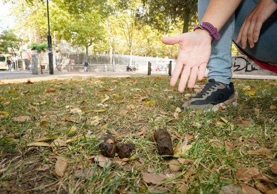 Una persona muestra excrementos de perro en un jardín de Vitoria