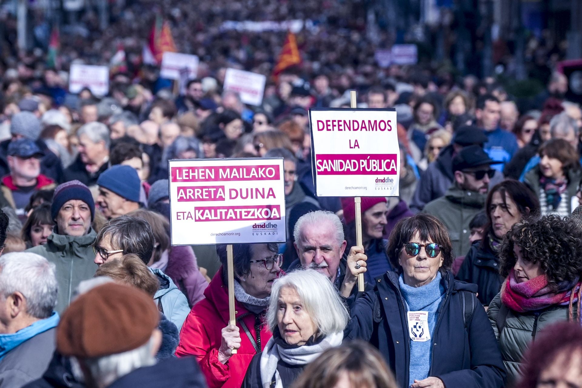 Multitudinaria manifestación en Vitoria contra el «desmantelamiento de la sanidad pública»