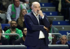Pablo Laso, tras caer en el Carpena: «Es un partido más, para lo bueno y para lo malo»