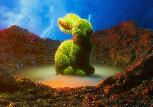 Portada de 'Jaioak hiltea zor'.