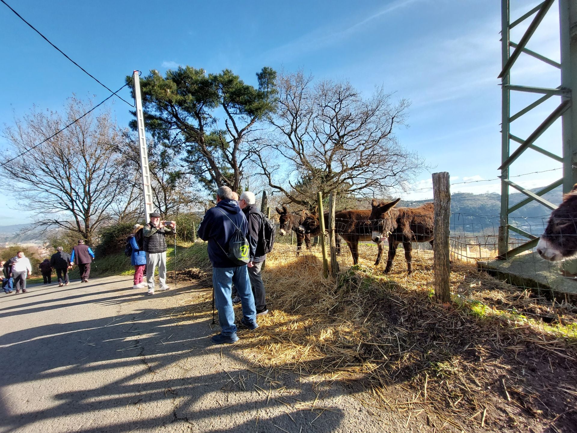 La romería de Santa Águeda en imágenes