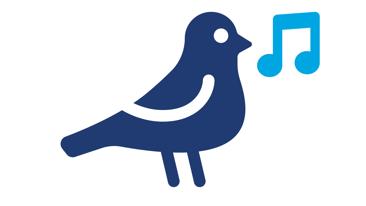 Pájaros y flores