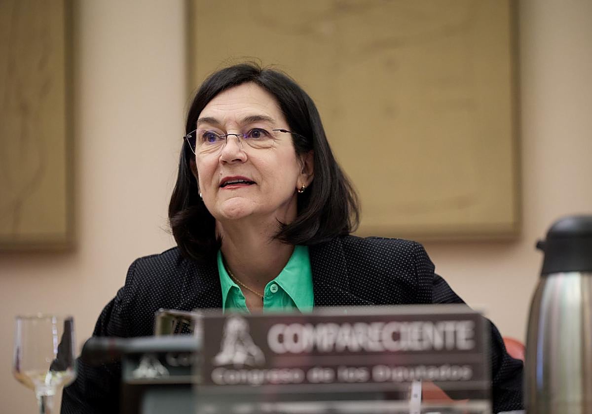 La presidenta de la Comisión Nacional de los Mercados y la Competencia (CNMC), durante una comparecencia.