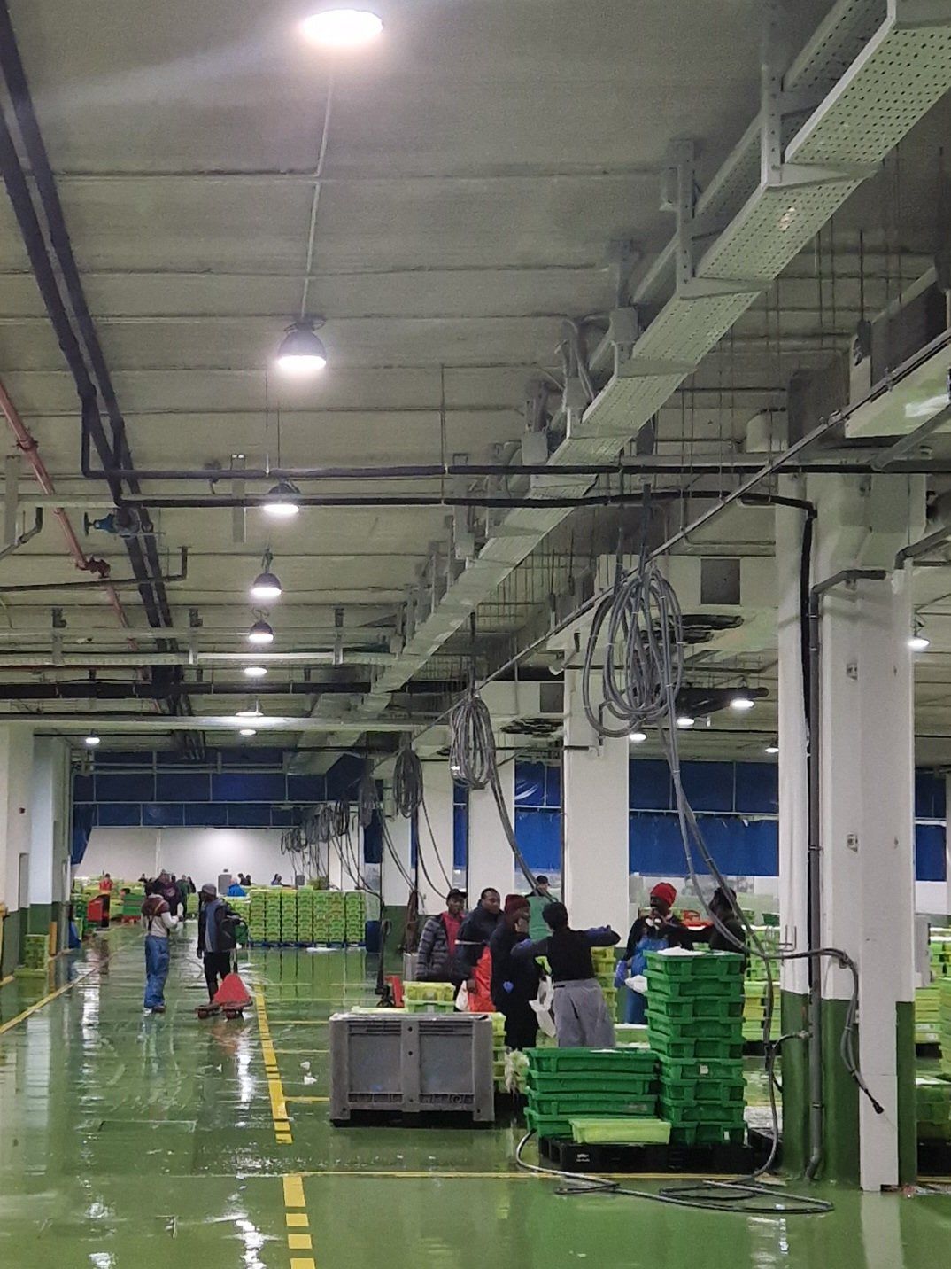 Las obras se ejecutarán en la lonja aunque no afectará a su actividad diaria.