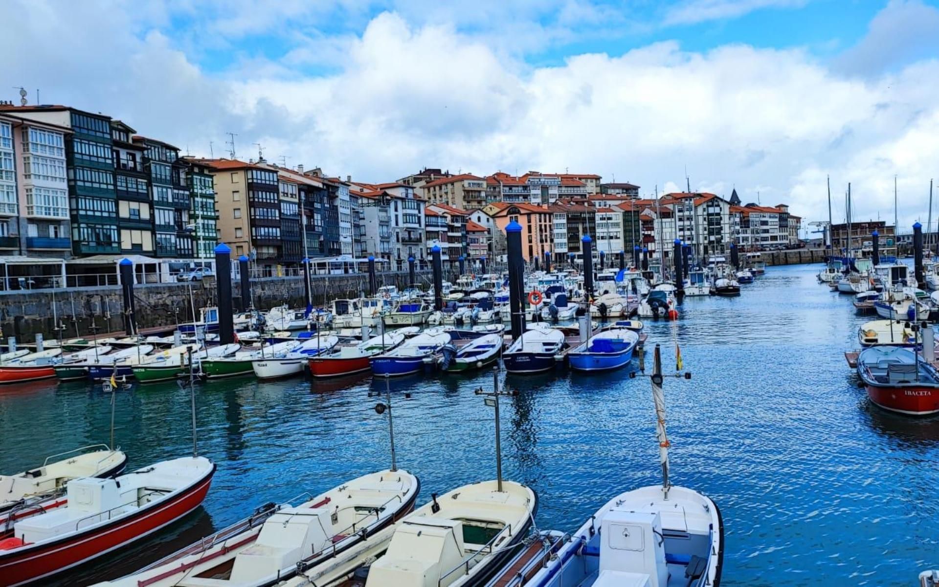 Amarristas veteranos se han quedado sin plazas en el puerto de Lekeitio.