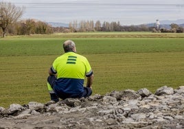 Campos de cultivo donde algún día se levantará el VIAP alrededor del aeropuerto de Foronda.
