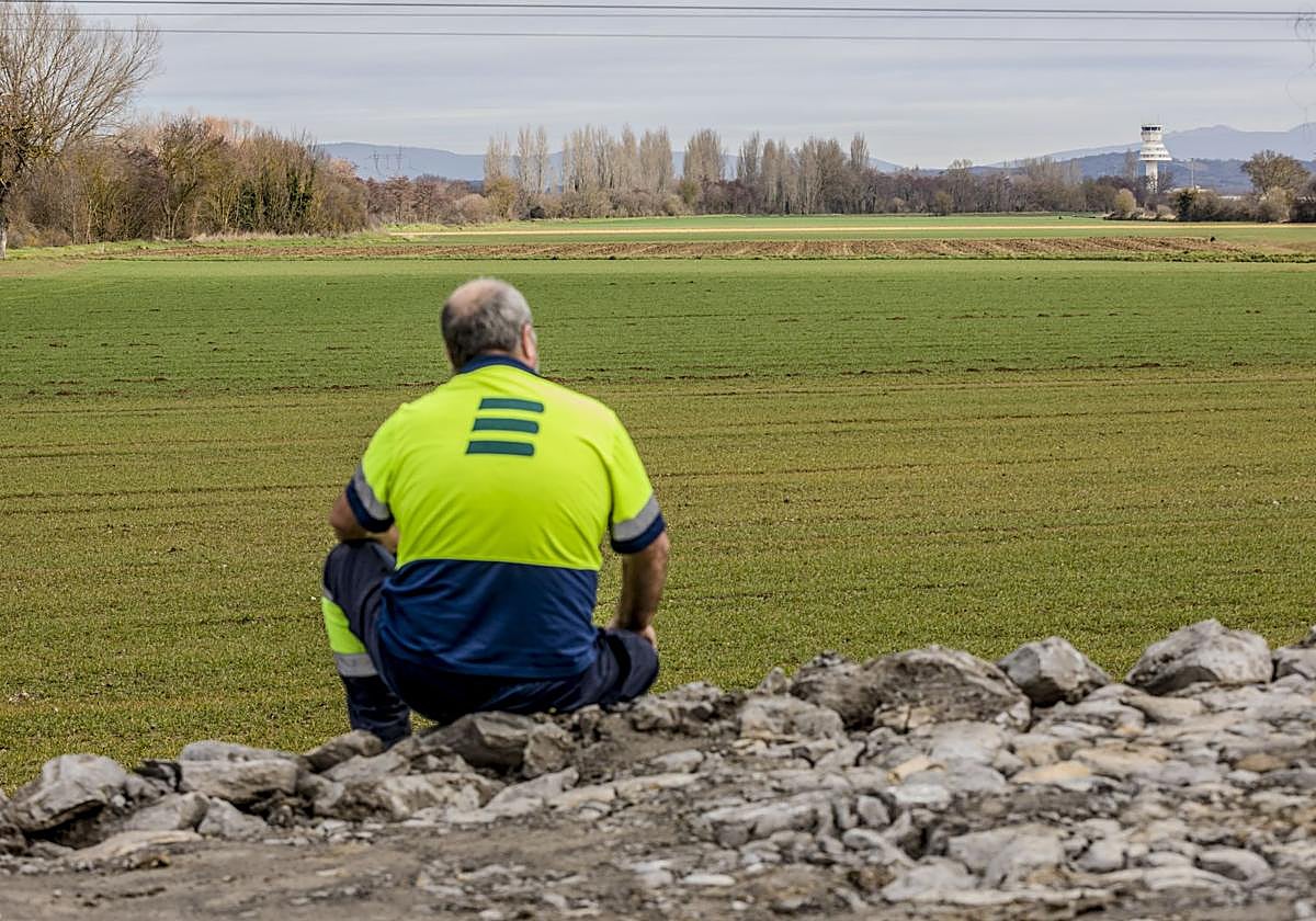Campos de cultivo donde algún día se levantará el VIAP alrededor del aeropuerto de Foronda.